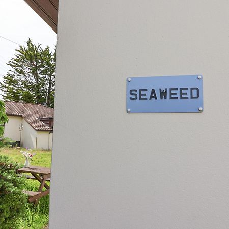 Seaweed Villa Sidmouth Bagian luar foto
