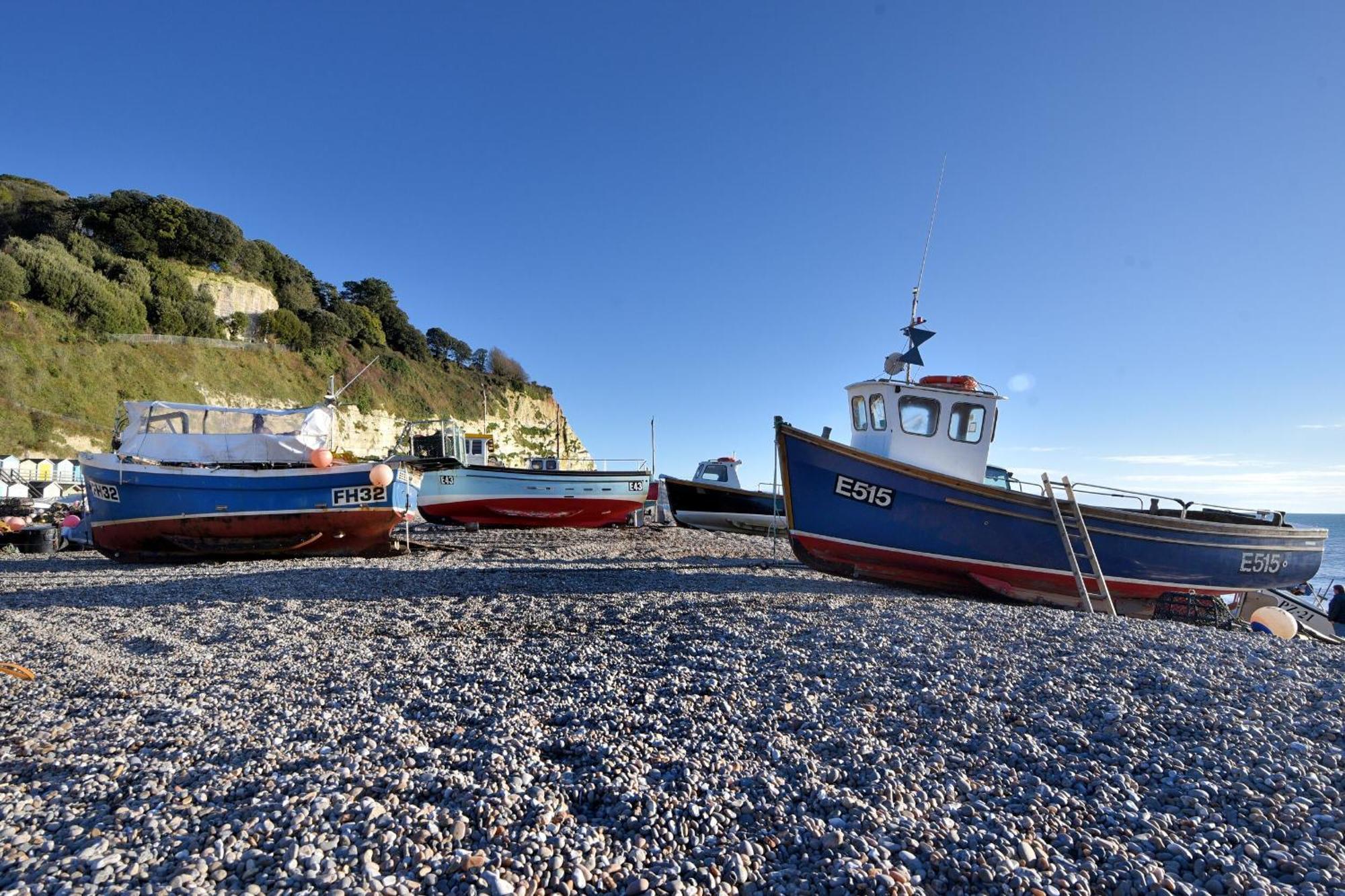 Seaweed Villa Sidmouth Bagian luar foto