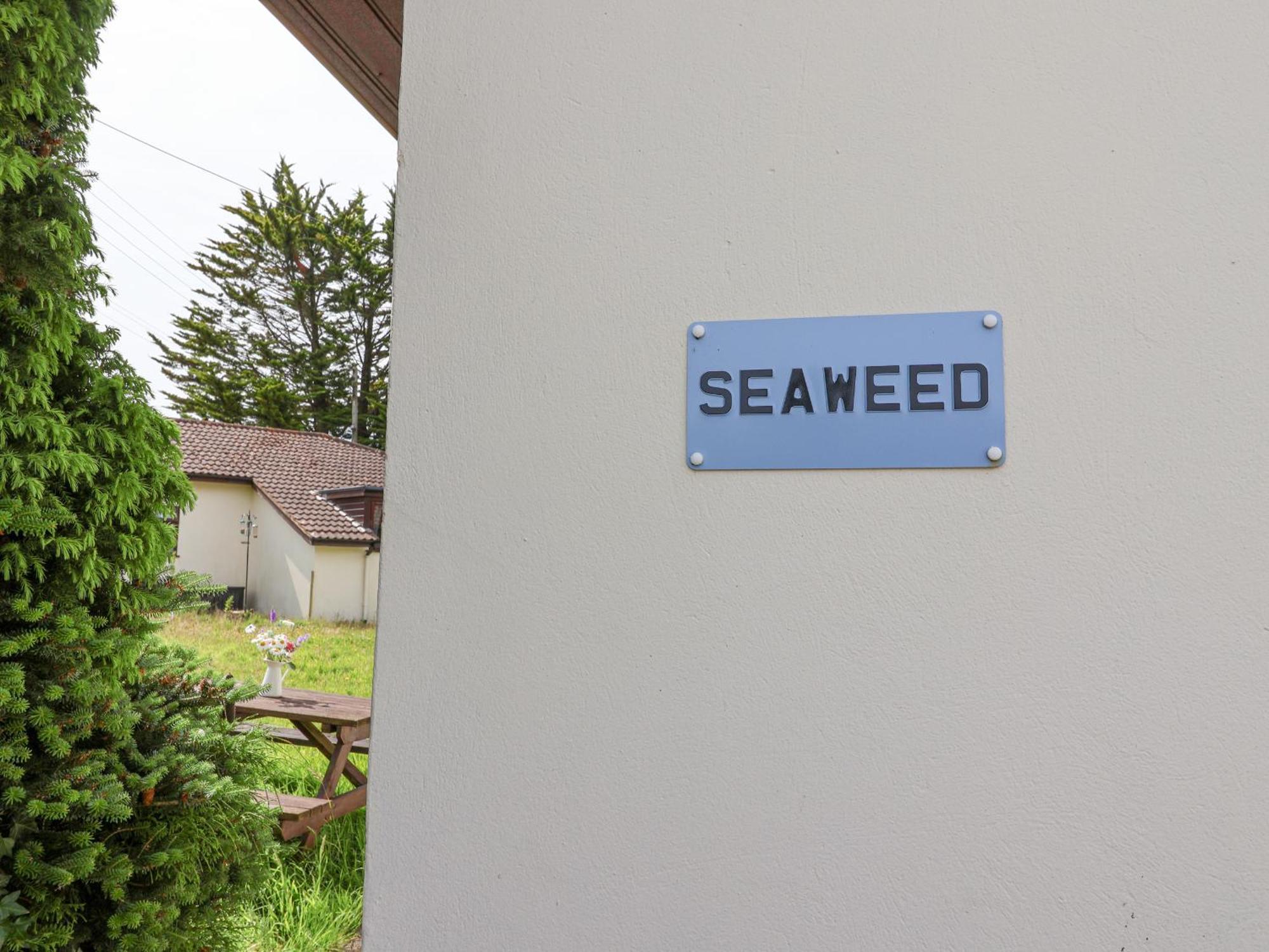 Seaweed Villa Sidmouth Bagian luar foto
